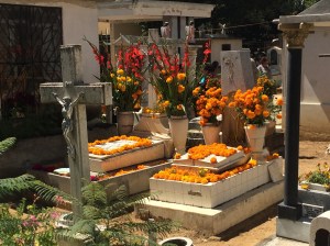 Graves decorated with flor de muerto. 