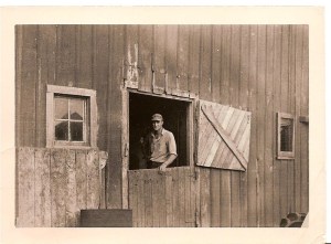 The barn where mice ran freely - until George. 